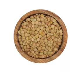 WISSAL - LENTILLES BLONDES 6/6.5mm 12x1kg